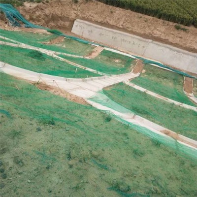 衡陽園林綠化工程三維植被網企業